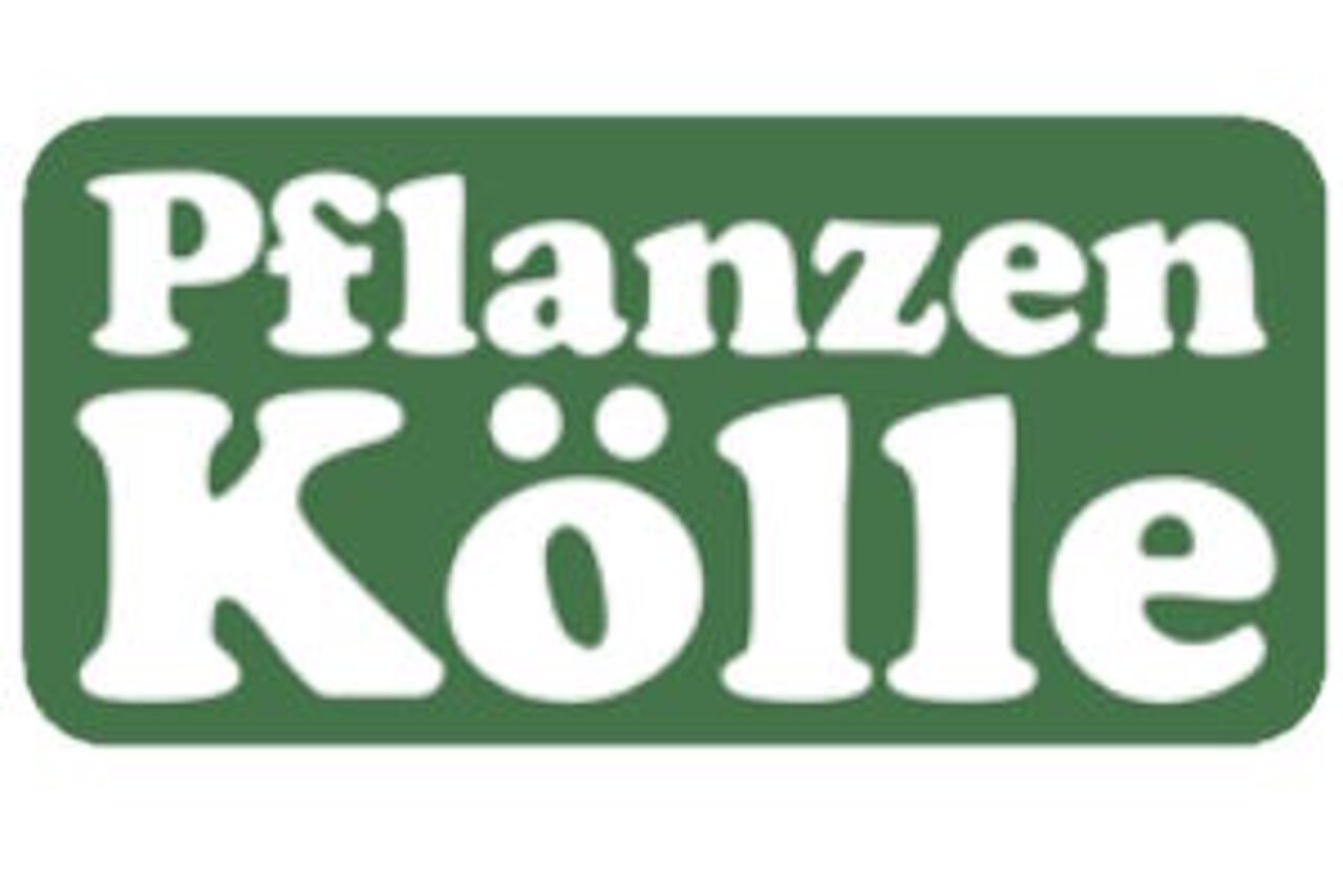 Pflanzen Kölle – ein führender Anbieter von hochwertigen Pflanzen, Gartenbedarf und Dekorationsartikeln.